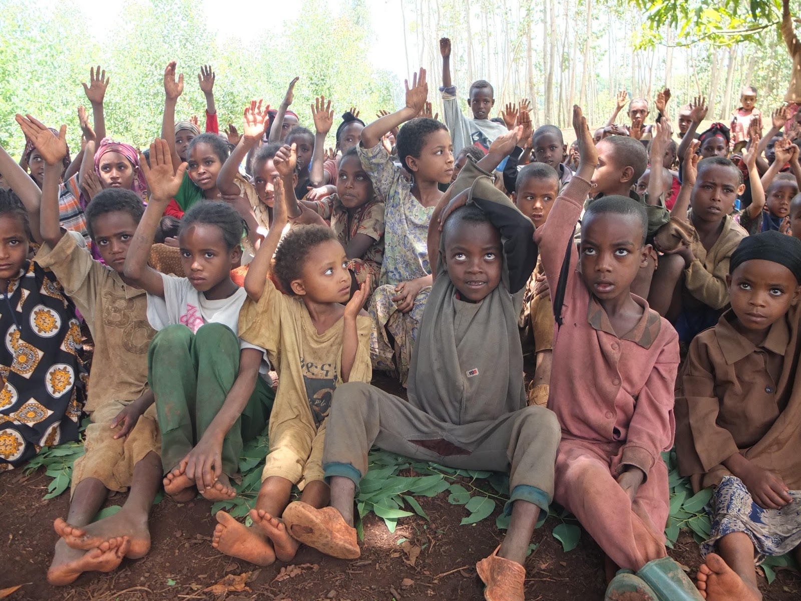 Now in most countries. Дети Эфиопии. Школа в Африке. Школа в Эфиопии. Изображение школ в Африке.